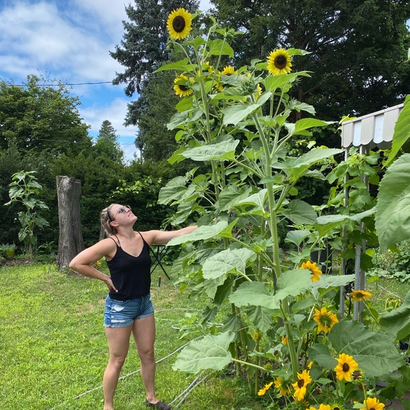 Meet your Posher, Nicole - Picture 2 of 2